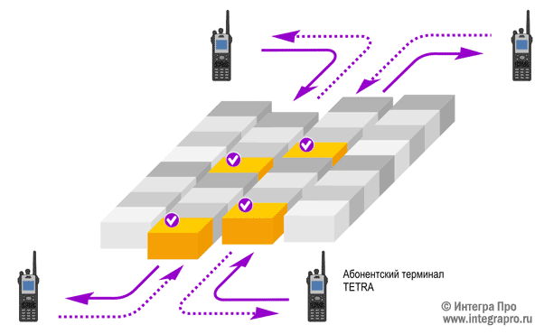 Структура радиоинтерфейса стандарта TETRA в режиме DMO.
