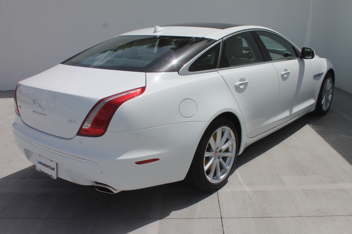 www.momentumjaguar.com
